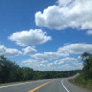 Meet your Posher, Ilana